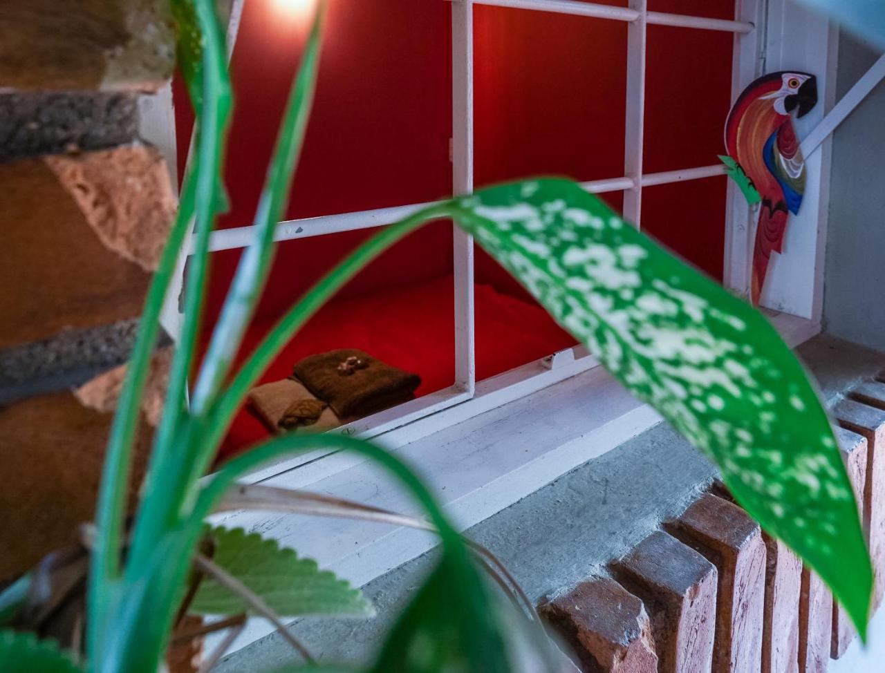 Hostel Tropico De Capricornio - Itagua Ubatuba Bagian luar foto