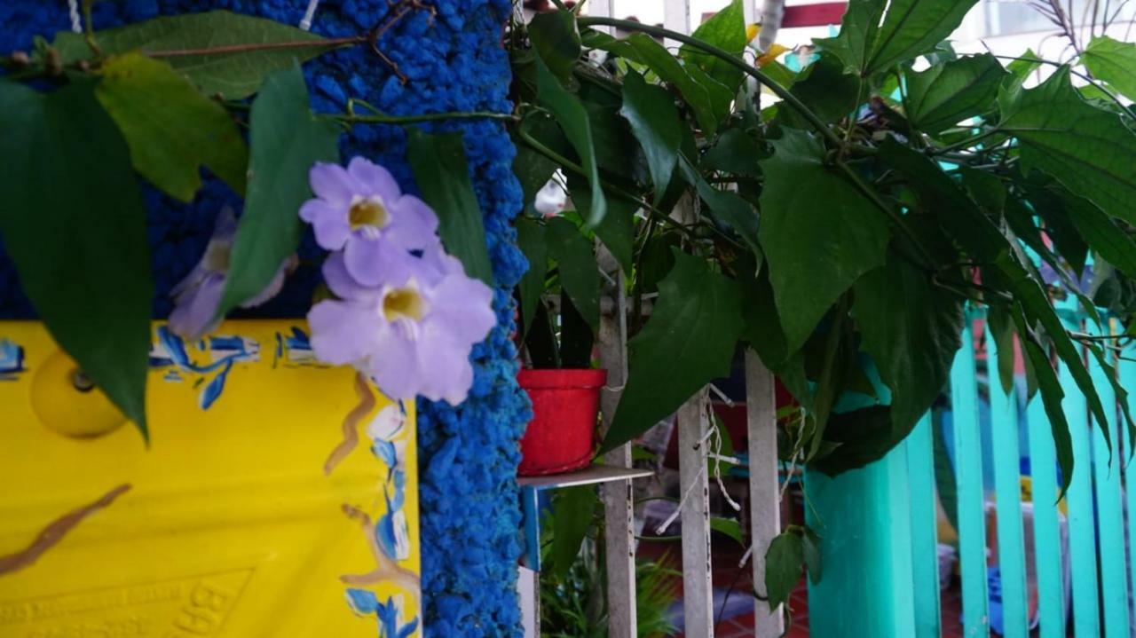 Hostel Tropico De Capricornio - Itagua Ubatuba Bagian luar foto